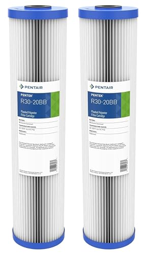 Pentair Pentek R30 (2 Count)