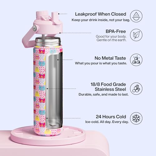 Insulated Water Bottle with Straw Stainless Steel Water Bottle