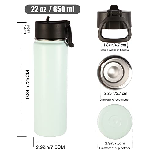 Insulated Water Bottles with Straw Bulk 2 Pack (2 Count)