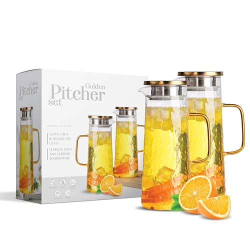 Glass Water Pitcher 2 Pack with Lid & Filter (2 Count)