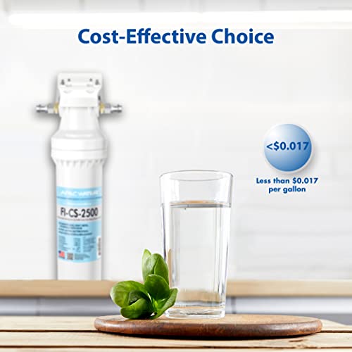 CS 2500 Ultra High Capacity Under Sink Water Filtration System
