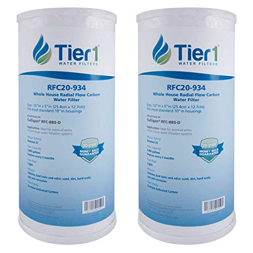 25 Micron 4.5" × 10" Radial Flow Carbon Water Filter (2 Count)