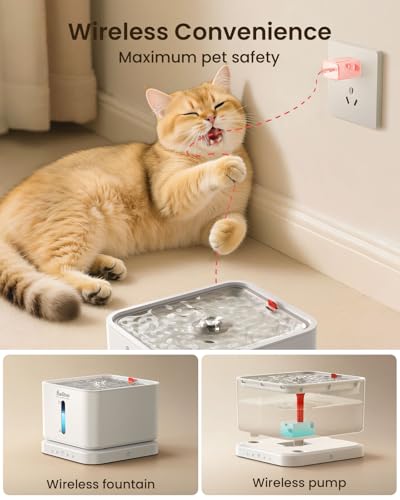 Cordless Cat Water Fountain