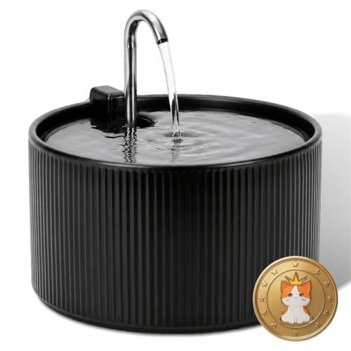 2.2L Ceramic Pet Fountain (78 Fl Oz)