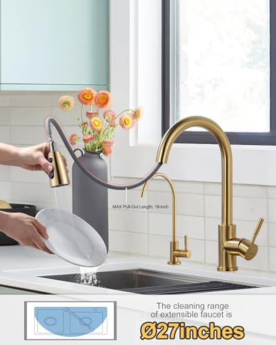 Kitchen Faucet and Water Filter Faucet Combo