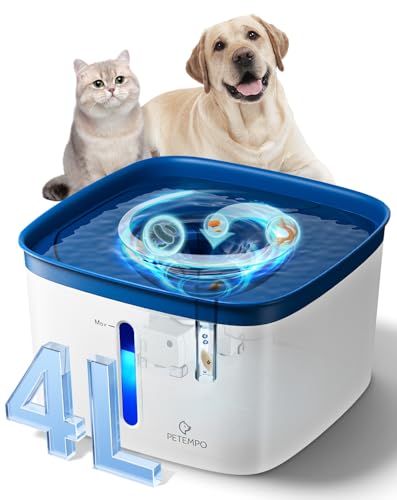 Cat Water Fountain