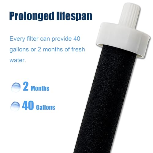 Water Bottle Filter