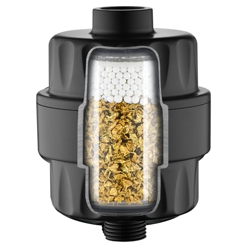 Shower Filter