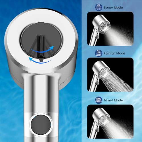 Filtered Shower Head with Handheld