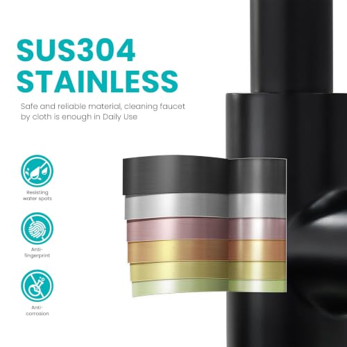 Kitchen Faucet with Pull Down sparyer