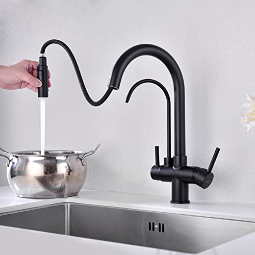 Matte Black Kitchen Faucet with Pull Down Sprayer