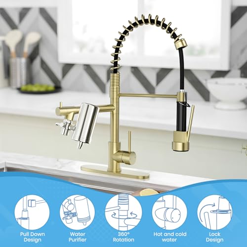 Gold Kitchen Faucet with Water Filter