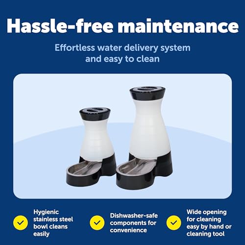 Healthy Pet Water Station