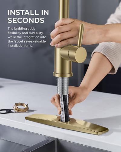 Kitchen Faucet with Pull Down Sprayer