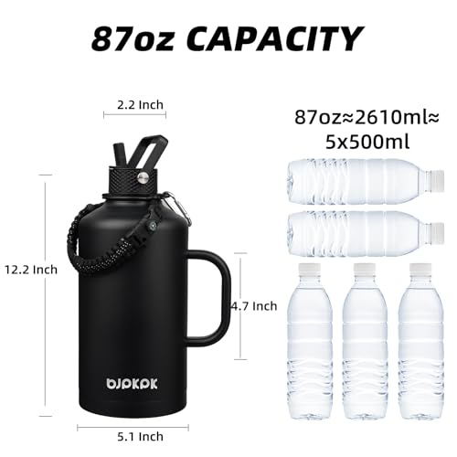 87oz Insulated Water Bottle with Straw Lid Stainless Steel Water Jug