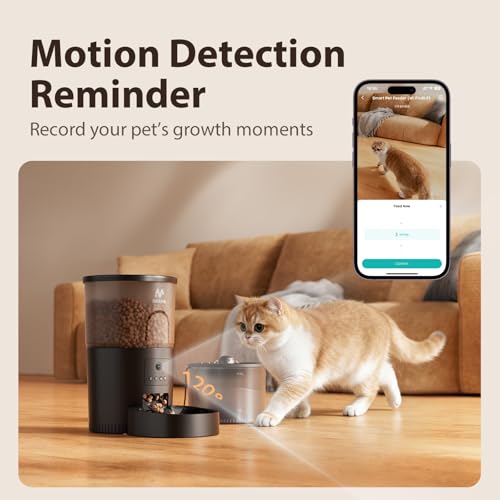 Automatic Cat Feeder with Camera and Water Fountain