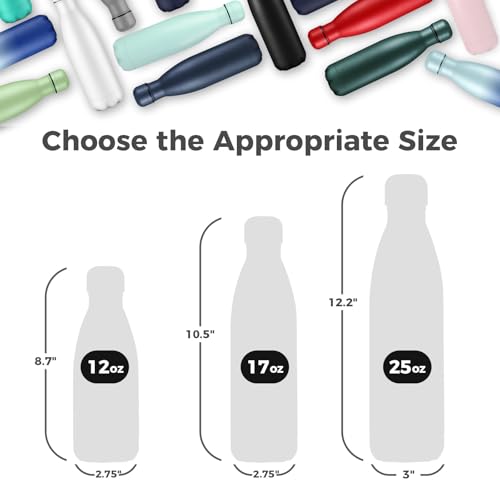17oz Insulated Stainless Steel Water Bottle