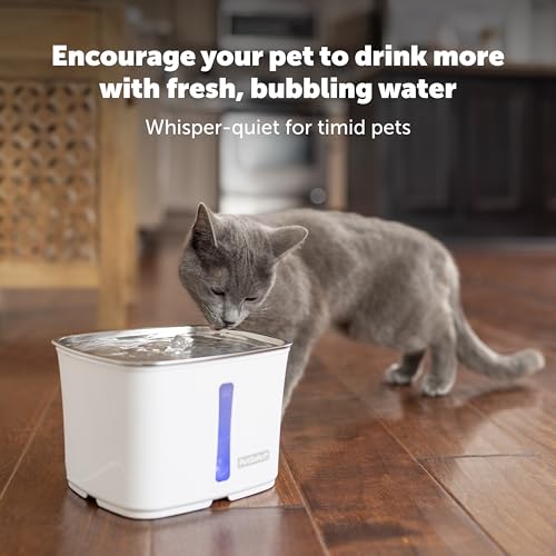Viva Pet Water Fountain