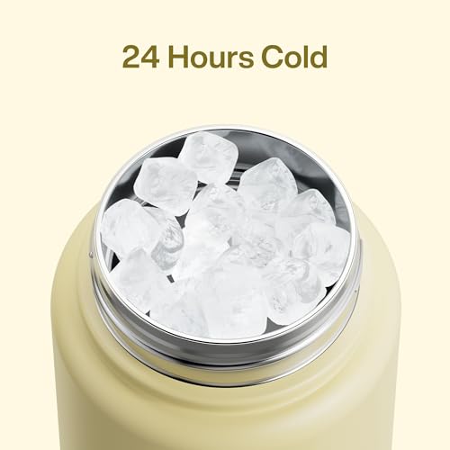 Insulated Water Bottle with Straw Stainless Steel Water Bottle