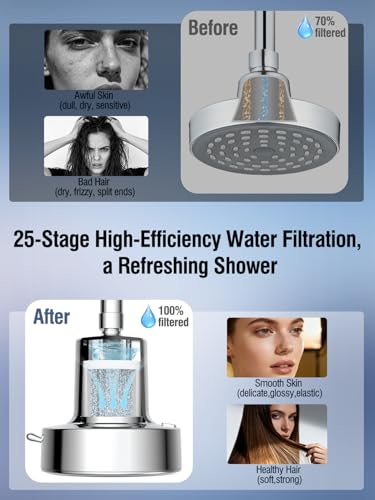 Filtered Shower Head with Filters