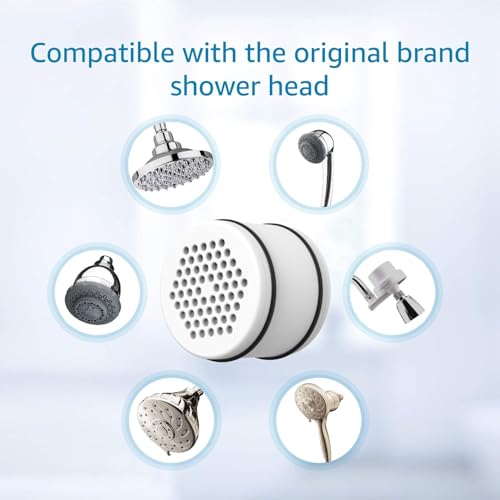 WHR 140 Shower Filter (2 Count)