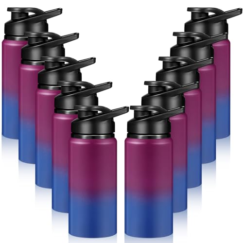 10 Pack Aluminum Water Bottles Bulk 17oz Dark Red (10 Count)