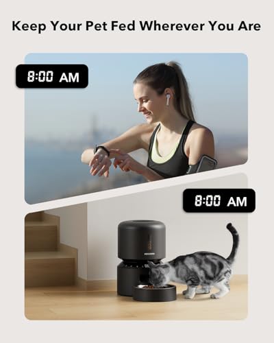 Automatic Cat Feeder