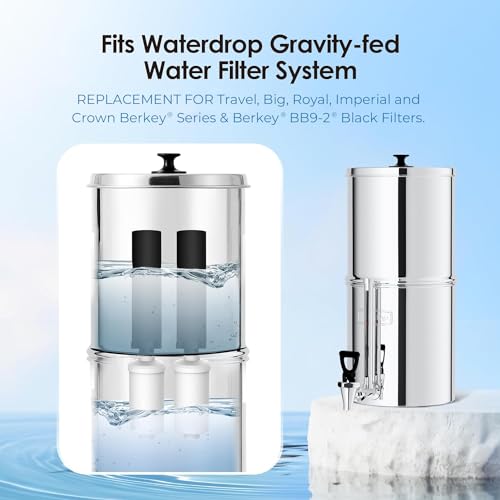 Gravity Water Filter (2 Count)