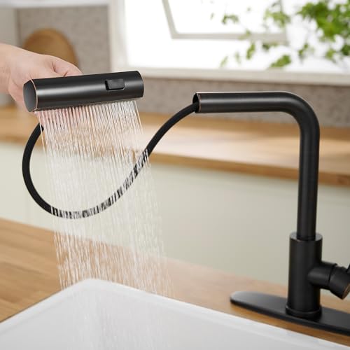 Kitchen Faucets with Pull Down Sprayer