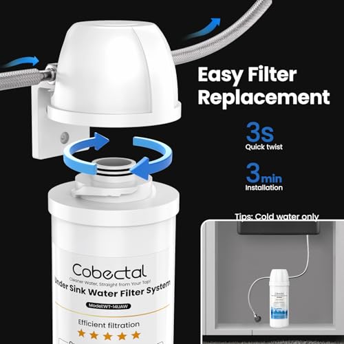 Under Sink Water Filter System