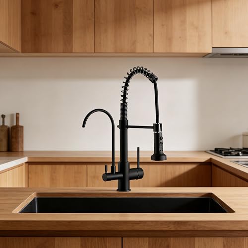Commercial 3 in 1 Spring Black Kitchen Faucet