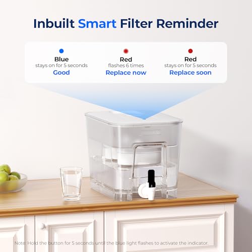 WFD-22L-DF Water Filter Dispenser, 40-Cup Water Purifier, White