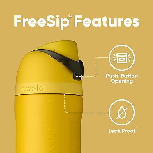 Harry Potter FreeSip Stainless Steel Water Bottle 24 oz Hufflepuff