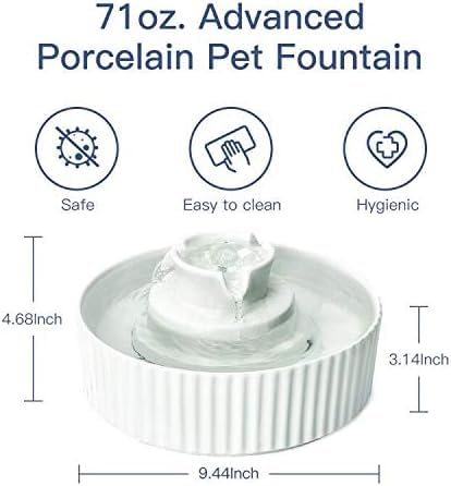 Pet Drinking Fountain (70 Fl Oz)