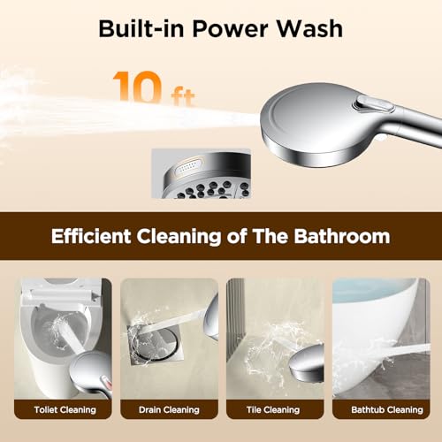 Filtered Shower Head with Handheld