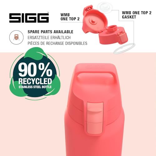 Insulated Water Bottle