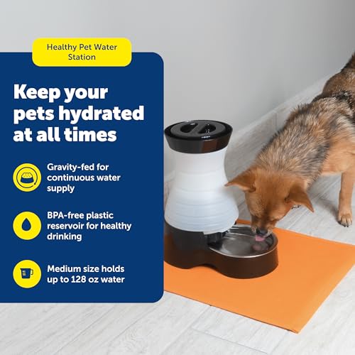 Healthy Pet Water Station