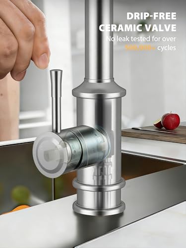 Vintage Kitchen Faucet