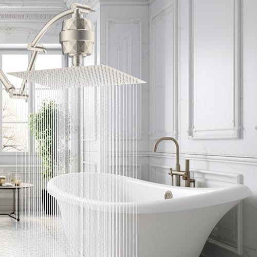 12'' Filtered Rain Shower Head