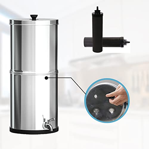 2PCS Black Water Filters