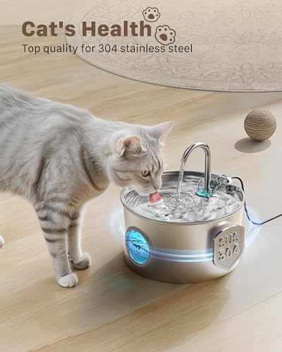 Cat Water Fountain Stainless Steel