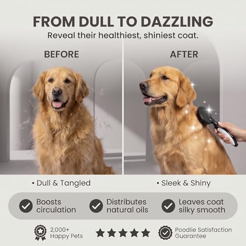 Round Bristle Pet Brush for Dogs and Cats