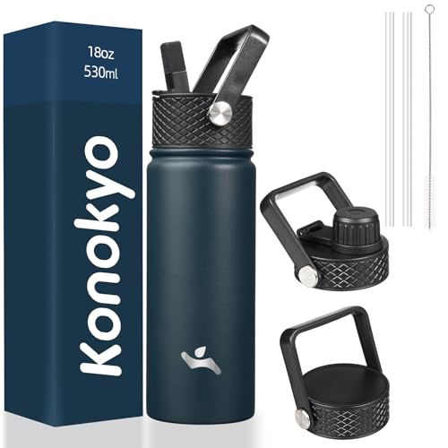 18 oz Insulated Stainless Steel Water Bottle with Straw Lid