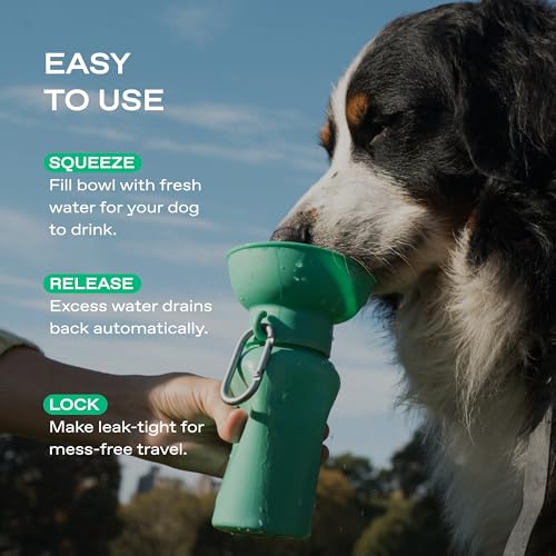 Springland 20oz Flip Portable Dog Water Bottle with Collapsible Bowl (20 Fl Oz)