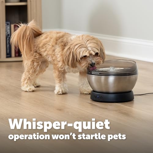 HydroSphere 60 oz Stainless Steel Pet Fountain