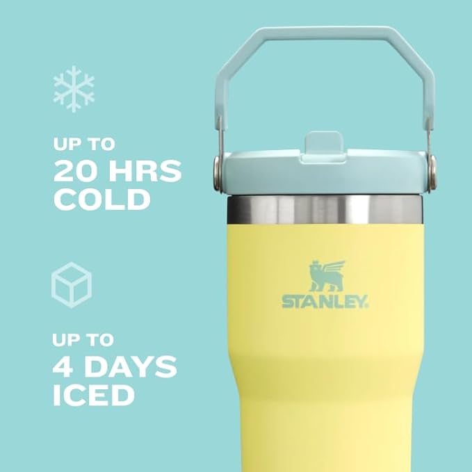 STANLEY IceFlow 2.0 Flip Straw Tumbler with Handle 30 oz | Twist On Lid and Flip Up Straw | Leak Resistant Water Bottle | Insulated Stainless Steel | BPA-Free | Twilight