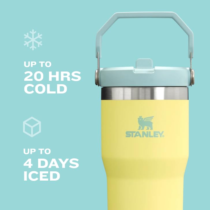 IceFlow Flip Straw Tumbler with Handle 20 oz