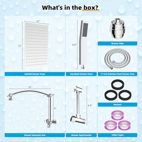 All Metal 12'' Filtered Rainfall Shower Head with Handheld Combo
