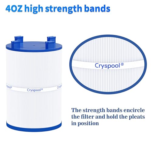 07120 Spa Filter Compatible with Dimension One 1561 (2 Count)