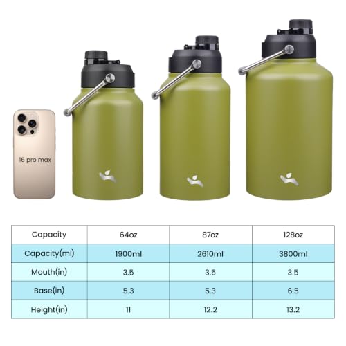 64 oz Insulated Stainless Steel Water Bottle Jug with Handle